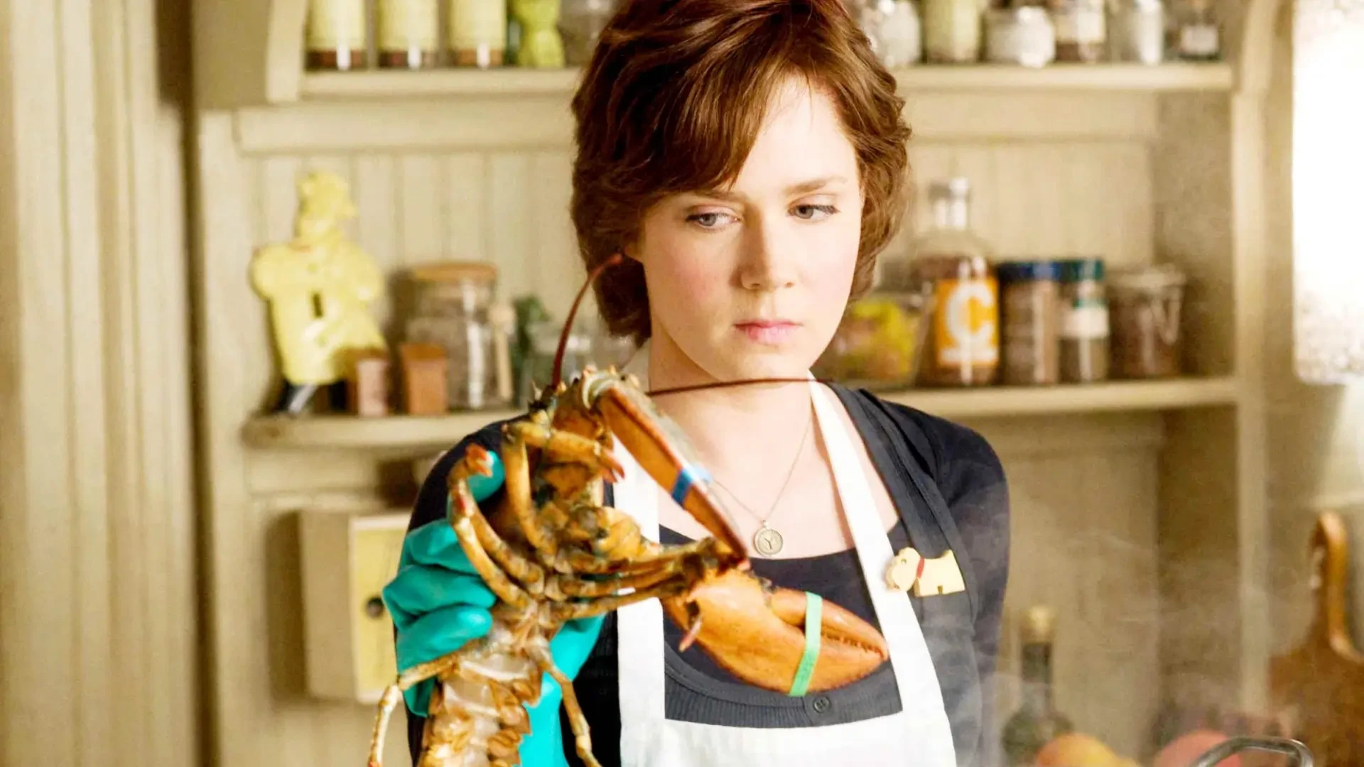 دانلود فیلم Julie & Julia 2009