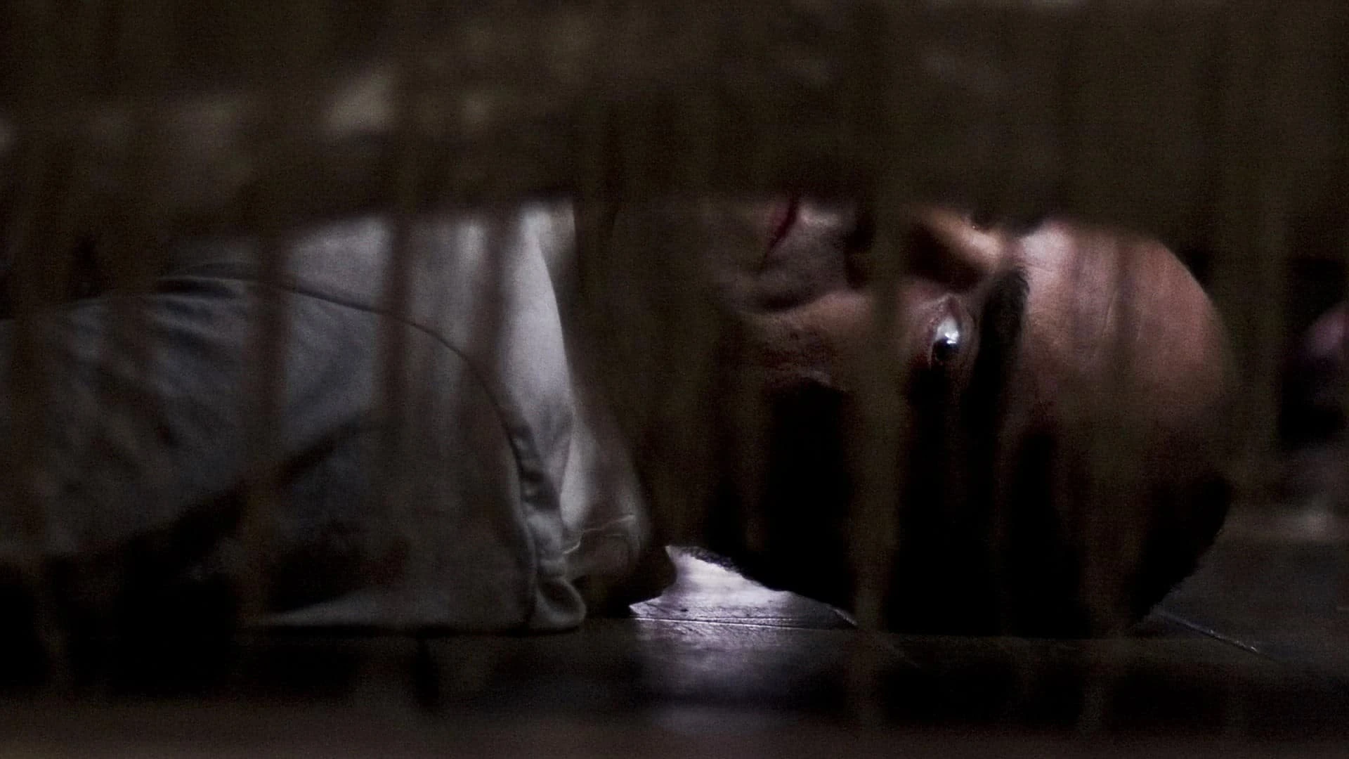 دانلود فیلم Sleep Tight 2011