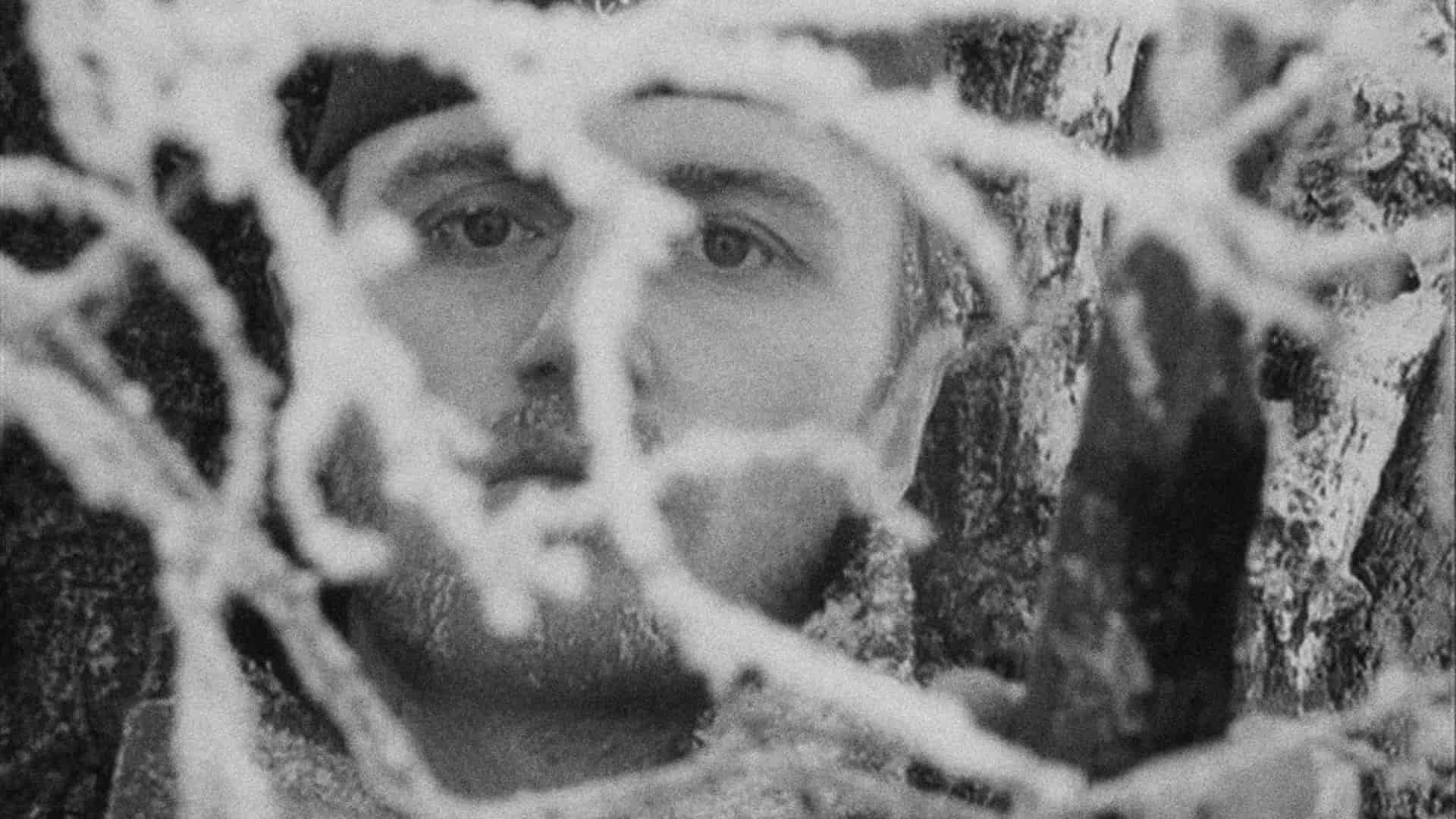 دانلود فیلم The Ascent 1977