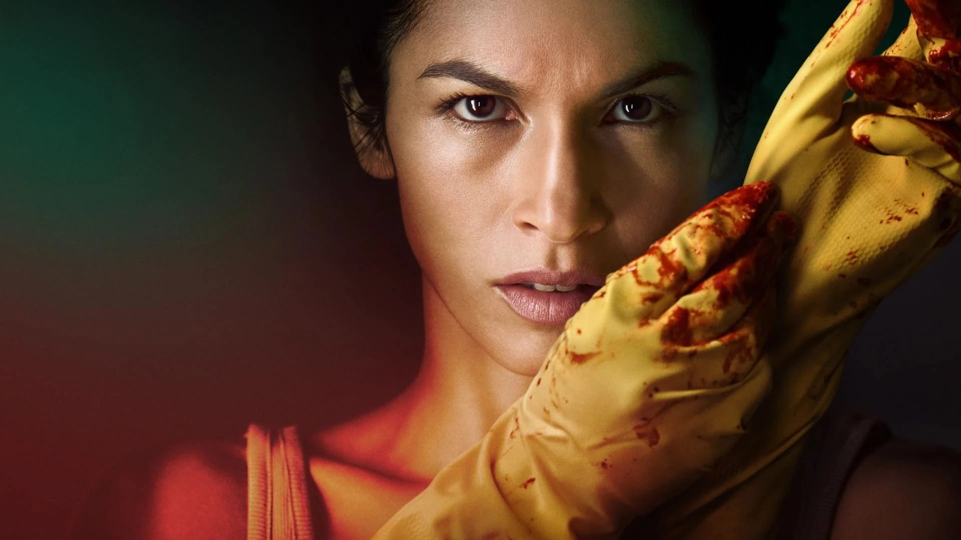 دانلود سریال The Cleaning Lady