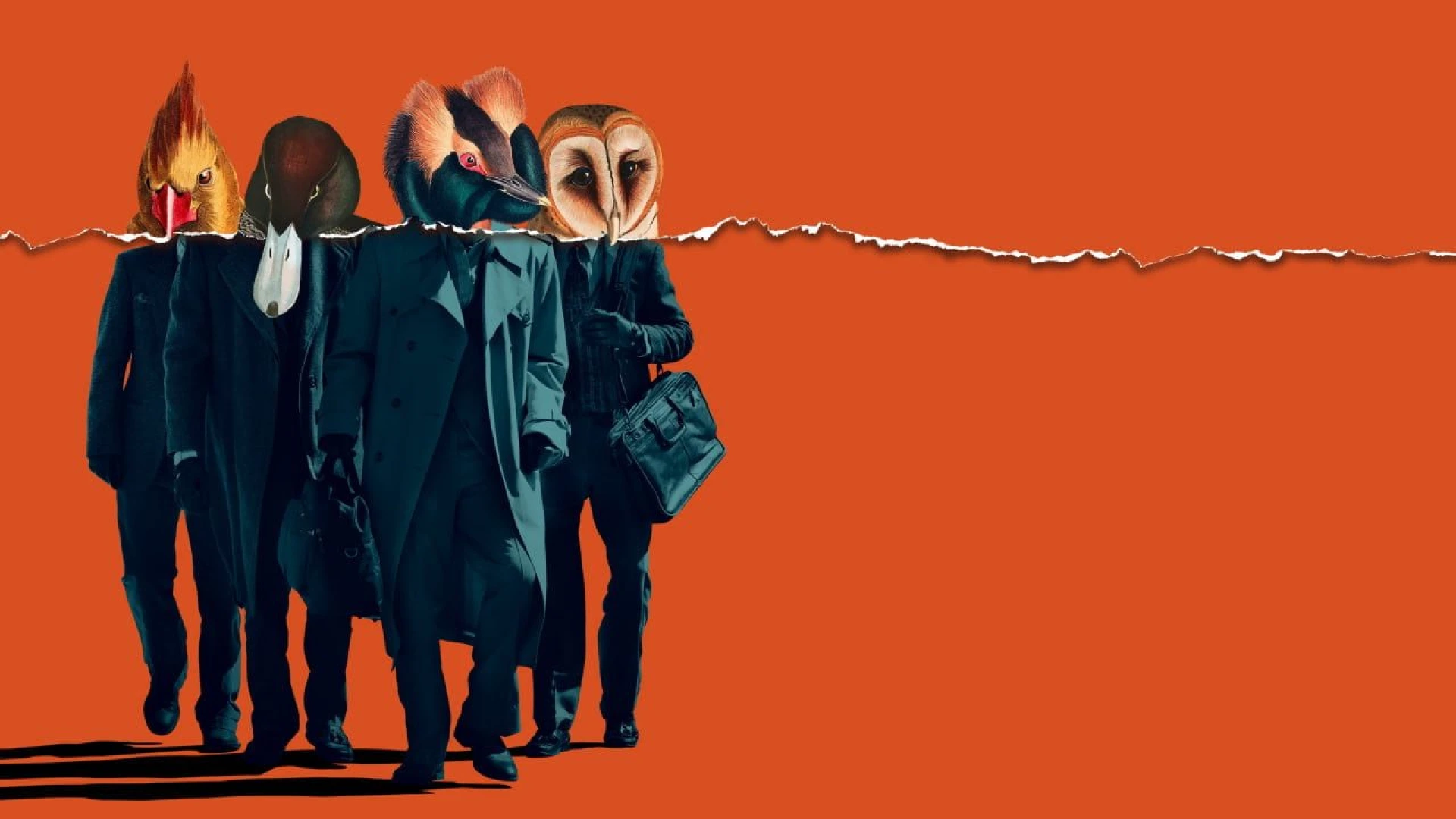 دانلود فیلم American Animals 2018