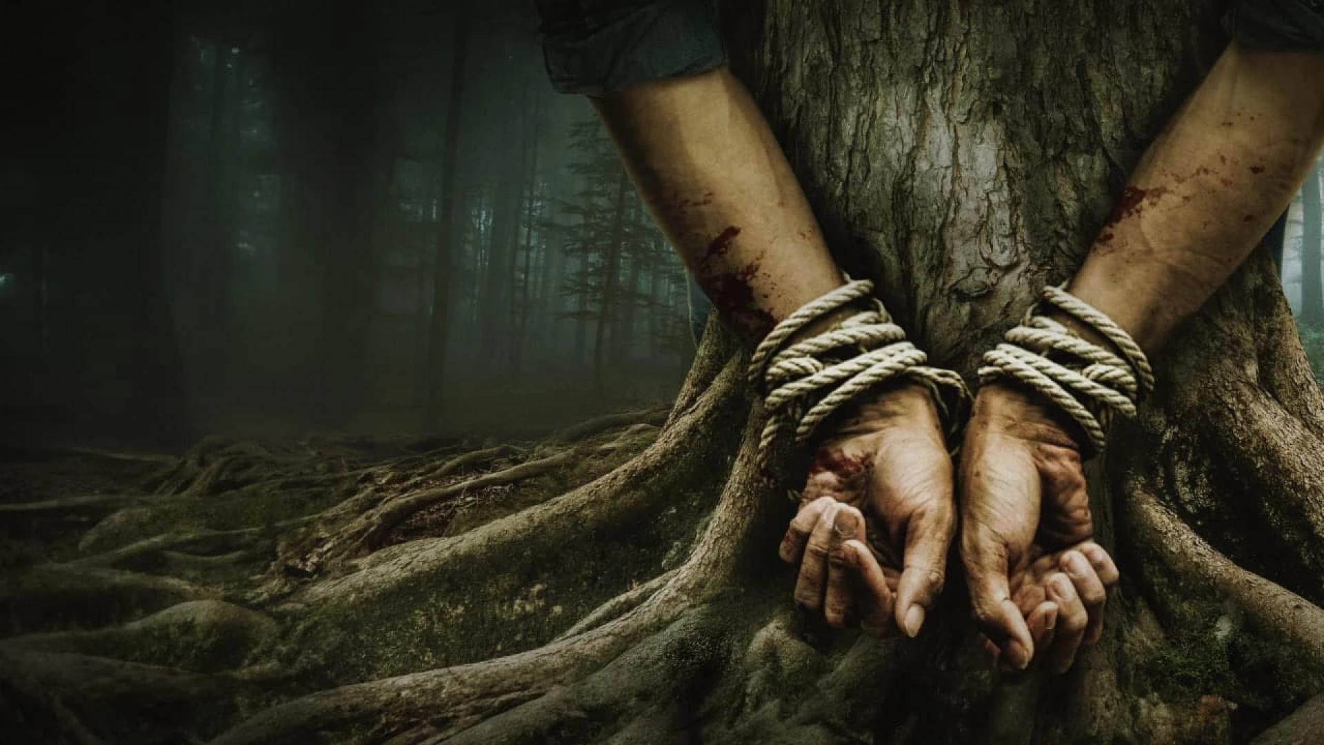 دانلود فیلم Bark 2023