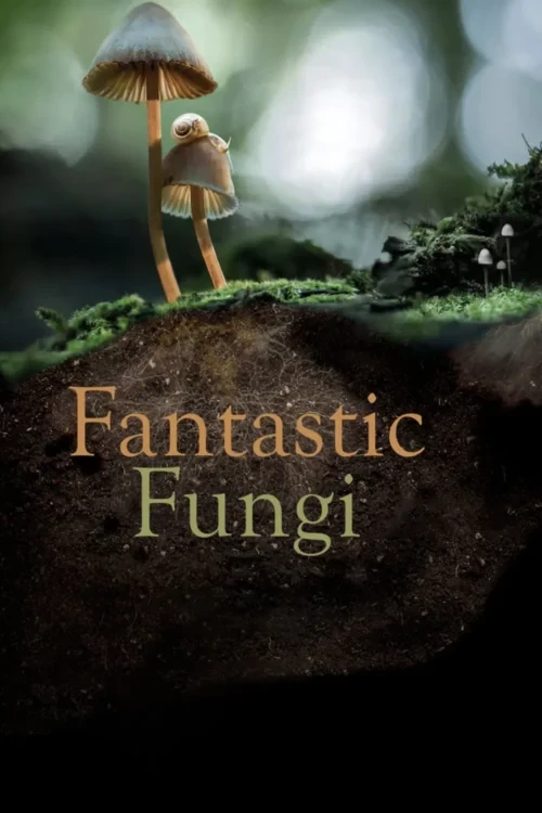 دانلود فیلم Fantastic Fungi