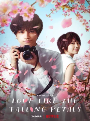 دانلود فیلم Love Like the Falling Petals