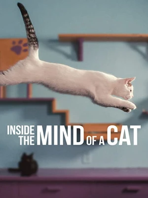 دانلود فیلم Inside the Mind of a Cat