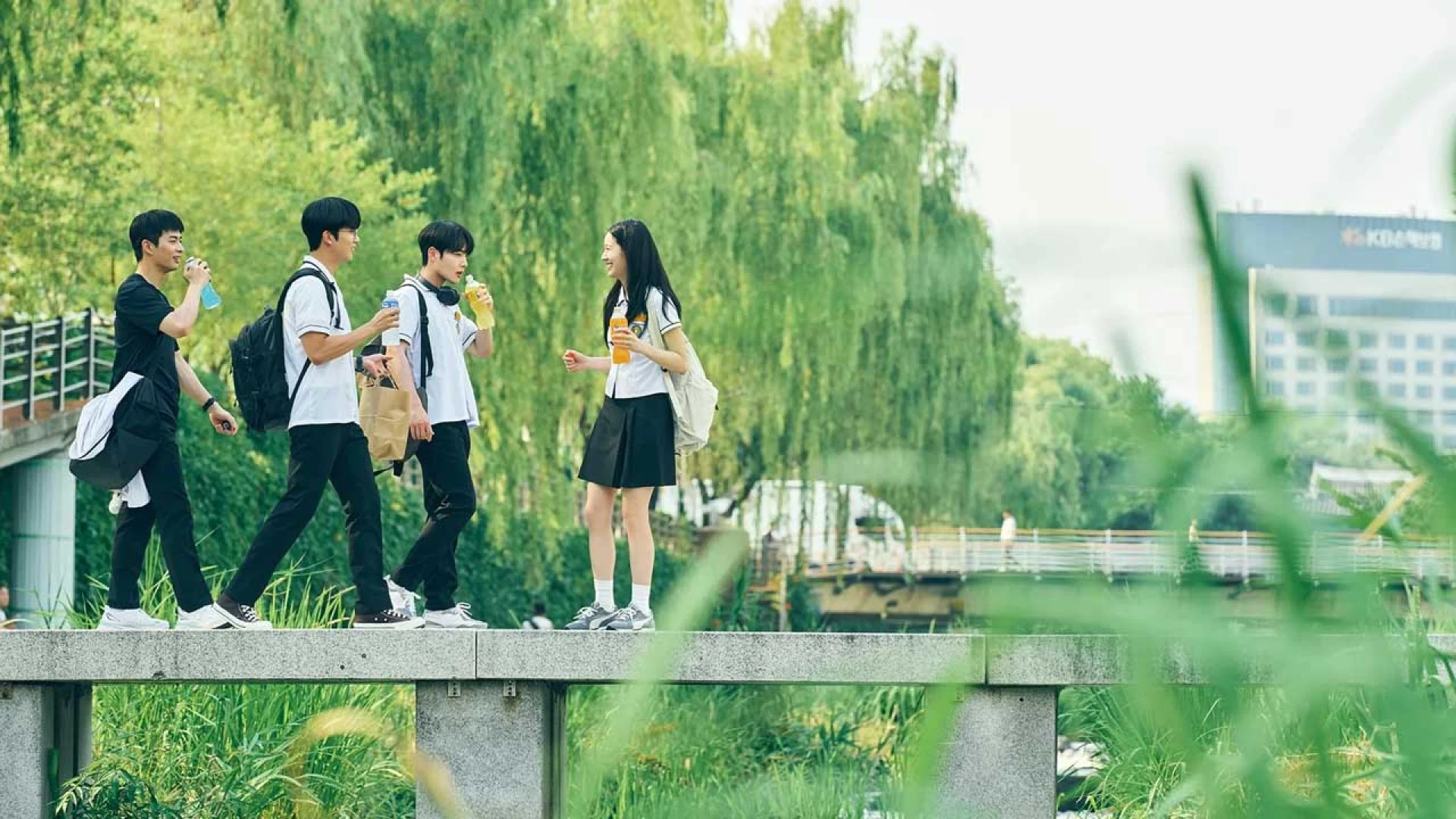 دانلود سریال Our Beautiful Summer