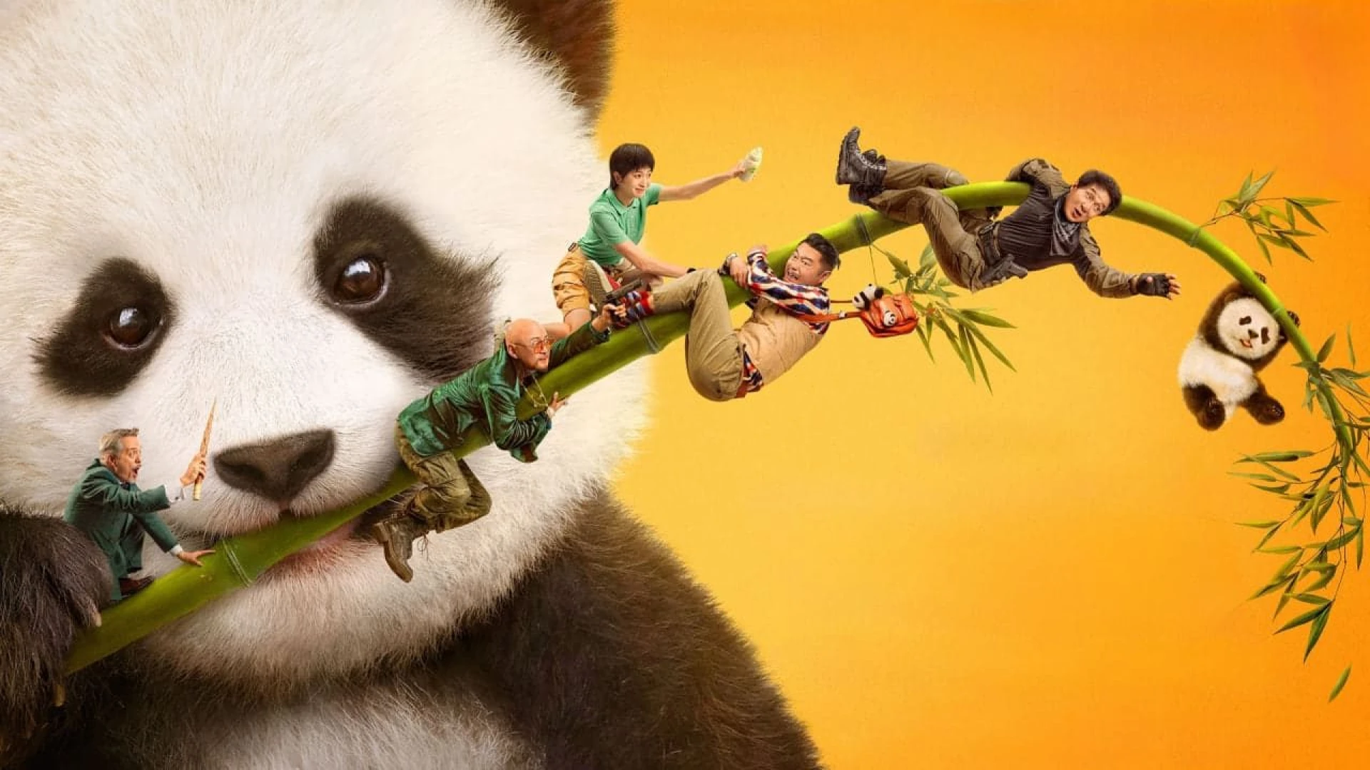 دانلود فیلم Panda Plan 2024