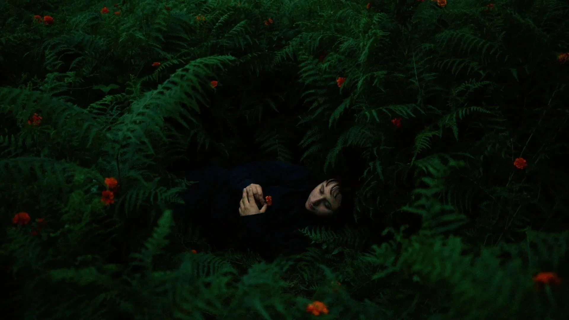 دانلود فیلم The Human Hibernation 2024