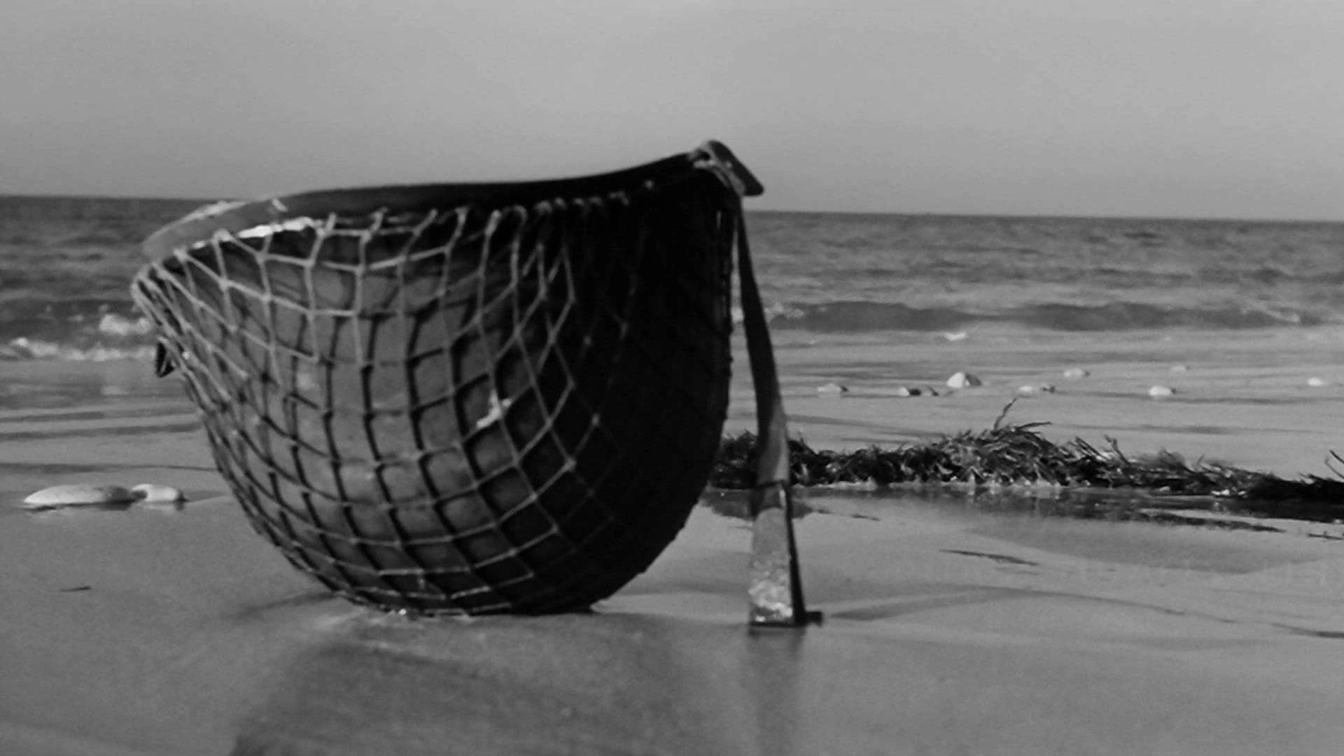 دانلود فیلم The Longest Day 1962