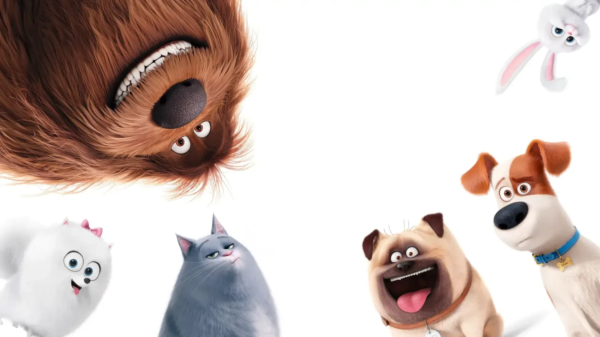 دانلود انیمیشن The Secret Life of Pets 2016