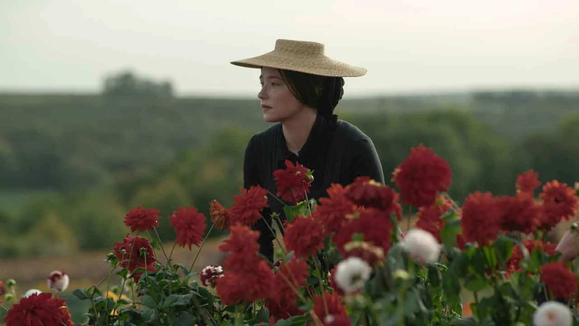 دانلود فیلم Widow Clicquot 2023