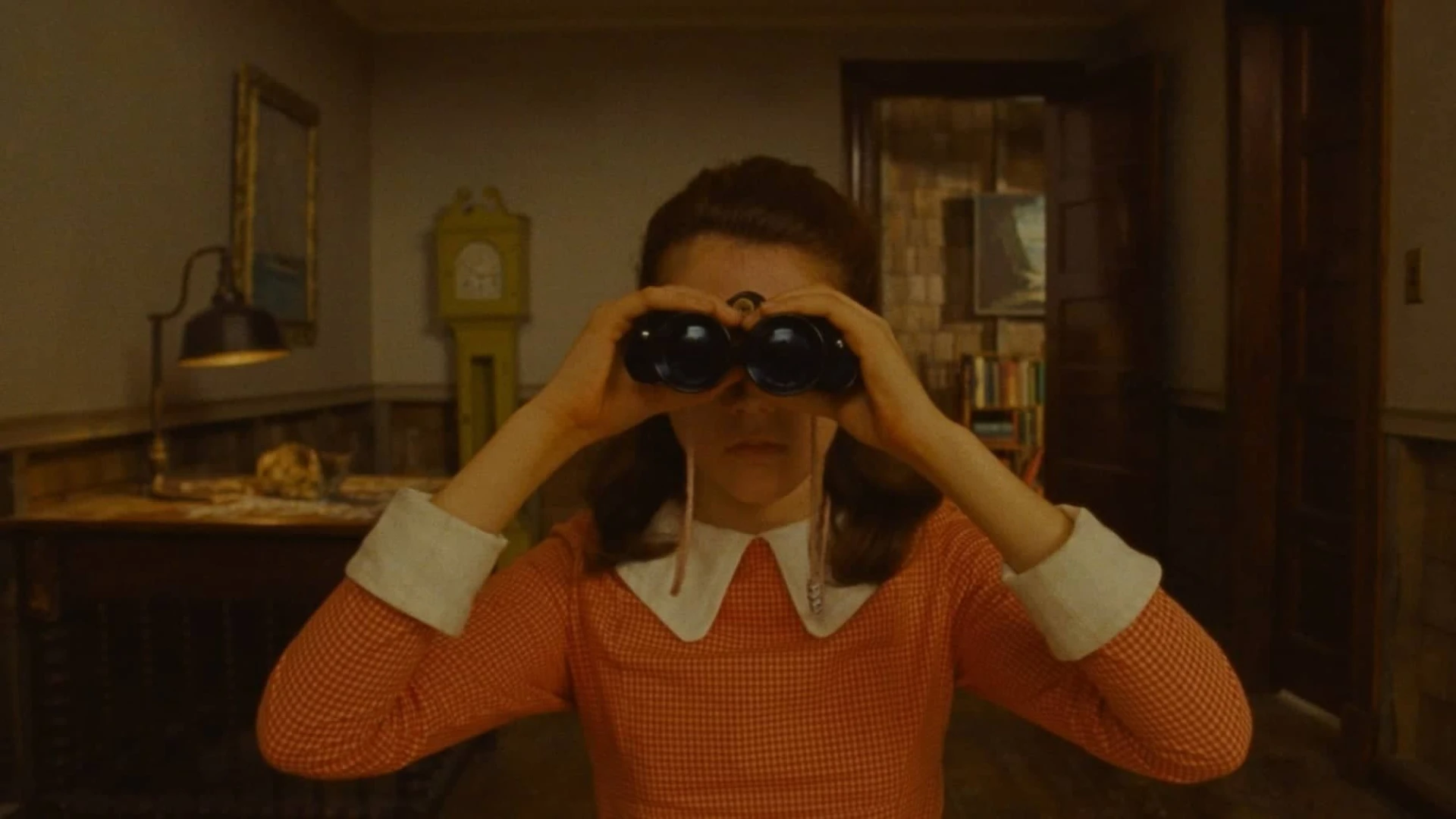 دانلود فیلم Moonrise Kingdom 2012
