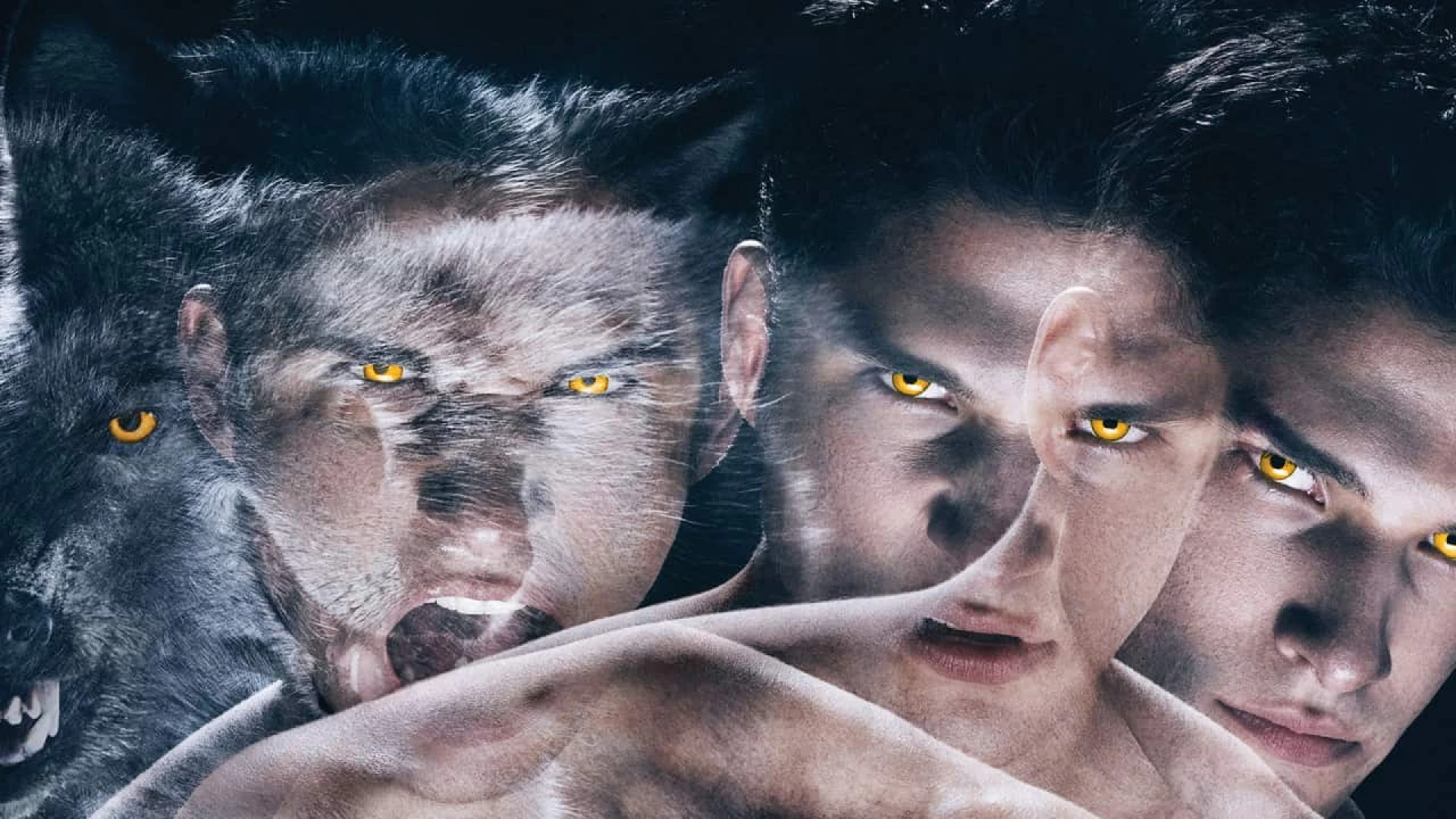 دانلود سریال Teen Wolf